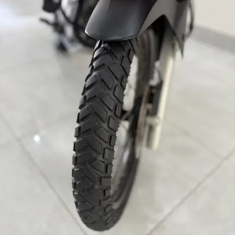 HONDA XRE 300 RALLY ABS, Foto 10