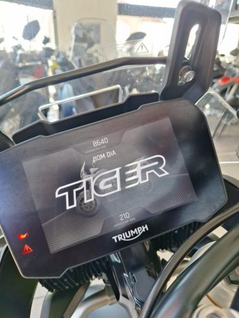 TRIUMPH Tiger 900 RALLY PR, Foto 3
