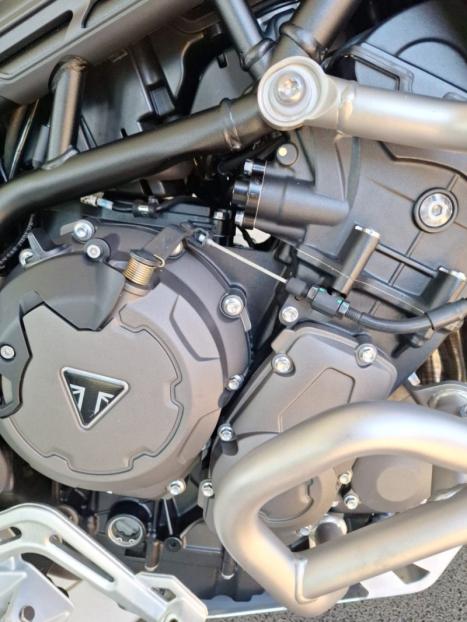 TRIUMPH Tiger 900 RALLY PR, Foto 10