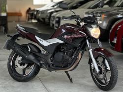 YAMAHA YS Fazer 250 BLUE FLEX