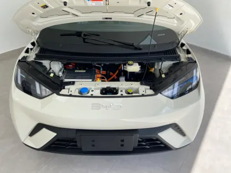 BYD Dolphin Mini 38 KW EL�TRICO GL, Foto 13
