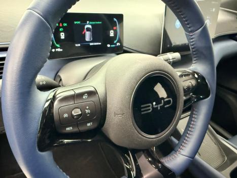 BYD Dolphin Mini 38 KW EL�TRICO GS, Foto 19
