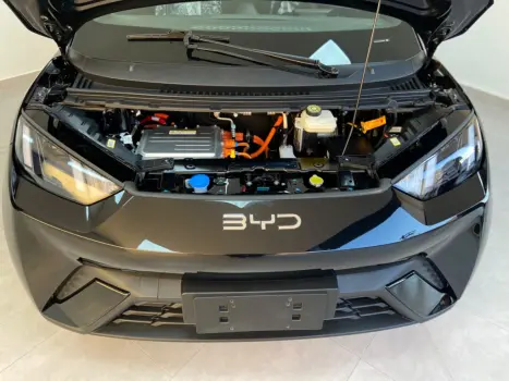 BYD Dolphin Mini 38 KW EL�TRICO GL, Foto 18