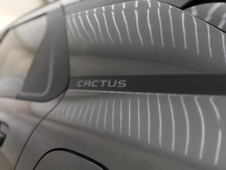 CITROEN C4 Cactus 1.6 16V 4P VTI 120 FLEX FEEL, Foto 6