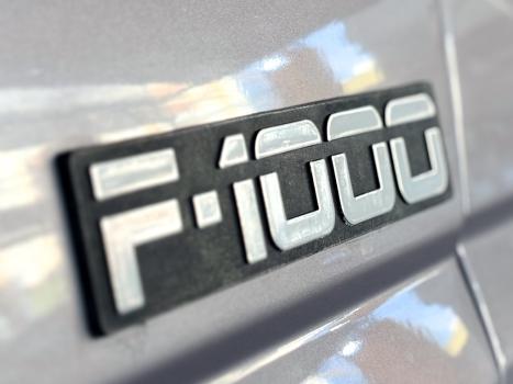 FORD F-1000 3.9 SUPER S�RIE CABINE DUPLA TURBO DIESEL, Foto 11