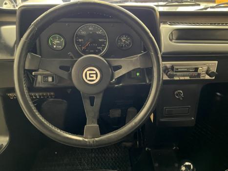 GURGEL X12 1.6 TR PLUS TOCANTINS, Foto 3