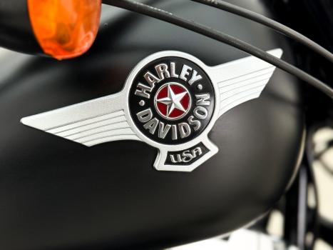 HARLEY DAVIDSON Softail Fat Boy 1600 SPECIAL, Foto 6