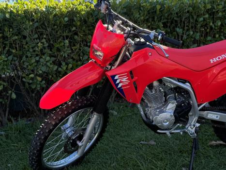 HONDA CRF 300 F, Foto 3
