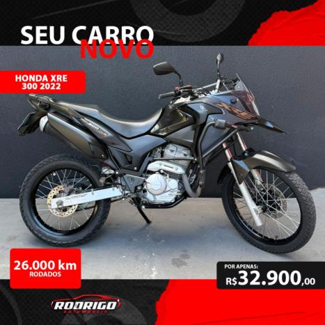 HONDA XRE 300 ABS, Foto 1