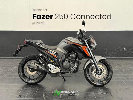 YAMAHA FZ 25 250 Fazer Flex , Foto 2