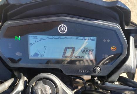 YAMAHA FZ 25 250 Fazer Flex , Foto 3