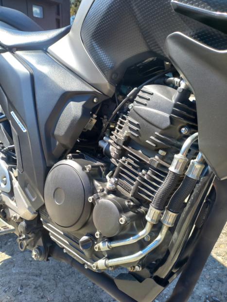 YAMAHA FZ 25 250 Fazer Flex , Foto 6