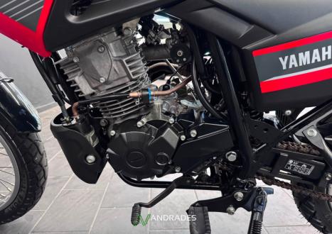 YAMAHA XTZ 150 Crosser S, Foto 4