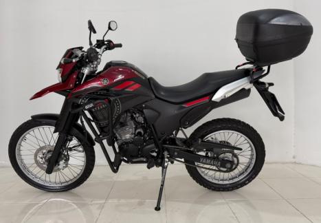 YAMAHA XTZ 250 LANDER, Foto 2