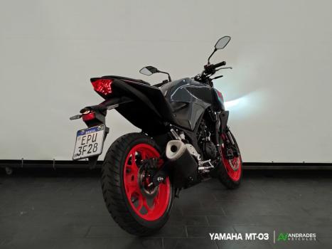 YAMAHA MT-03 300 ABS, Foto 5