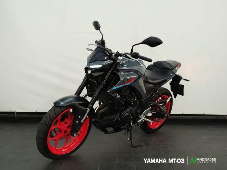 YAMAHA MT-03 300 ABS, Foto 1