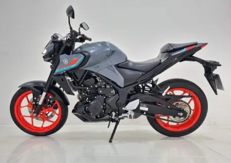 YAMAHA MT-03 300 ABS, Foto 2