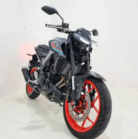 YAMAHA MT-03 300 ABS, Foto 7