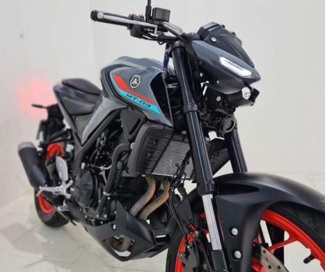 YAMAHA MT-03 300 ABS, Foto 6