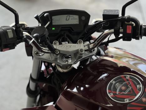 YAMAHA YS Fazer 250 BLUE FLEX, Foto 2