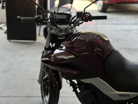 YAMAHA YS Fazer 250 BLUE FLEX, Foto 4
