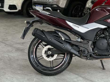 YAMAHA YS Fazer 250 BLUE FLEX, Foto 7