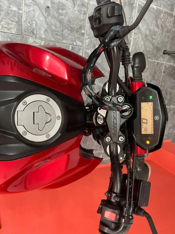 YAMAHA FZ 25 250 Fazer Flex - Foto