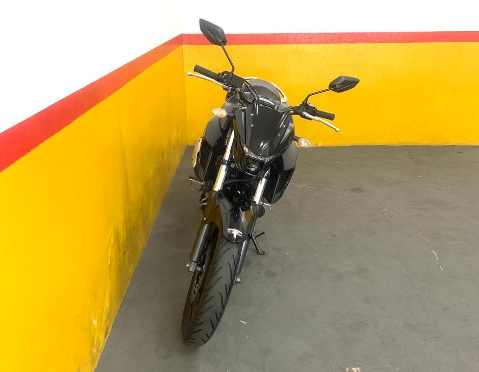 YAMAHA FZ 25 250 Fazer Flex - Foto