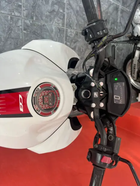 HONDA CB 250 F Twister FLEXONE, Foto 2