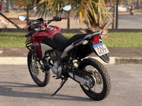HONDA XRE 300 RALLY ABS, Foto 6