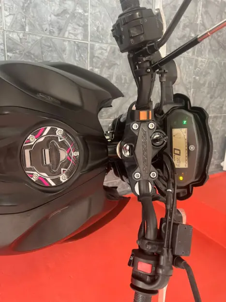 YAMAHA FZ 25 250 Fazer Flex , Foto 3