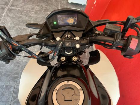 HONDA CB 250 F Twister FLEXONE, Foto 2
