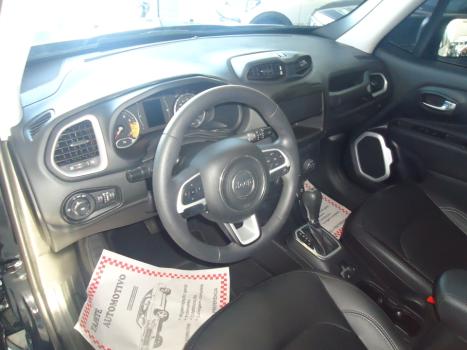 JEEP Renegade 1.8 16V 4P FLEX, Foto 7