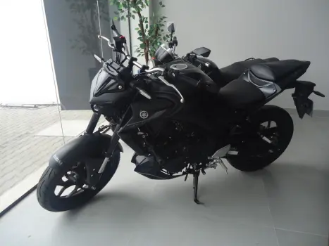 YAMAHA MT-03 300 ABS, Foto 6