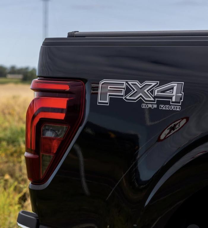 FORD F-150 - Foto