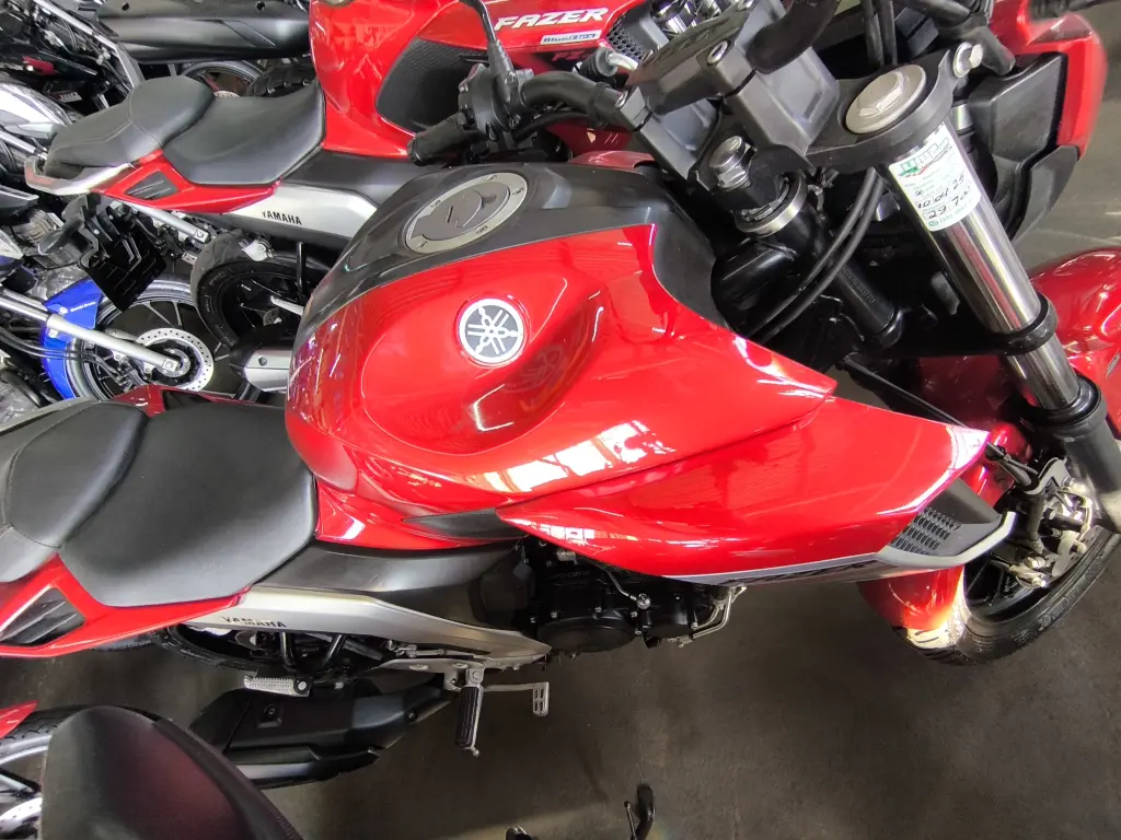 YAMAHA FZ 25 250 Fazer Flex - Foto