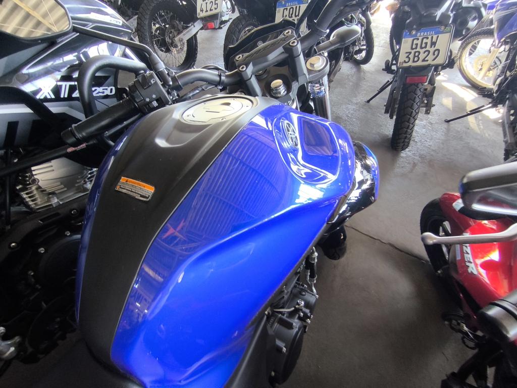 YAMAHA FZ 25 250 Fazer Flex - Foto