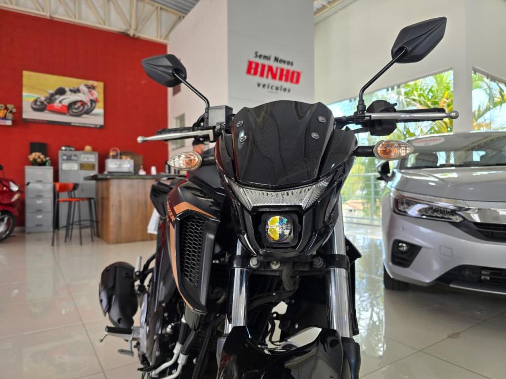 YAMAHA FZ 25 250 Fazer Flex - Foto