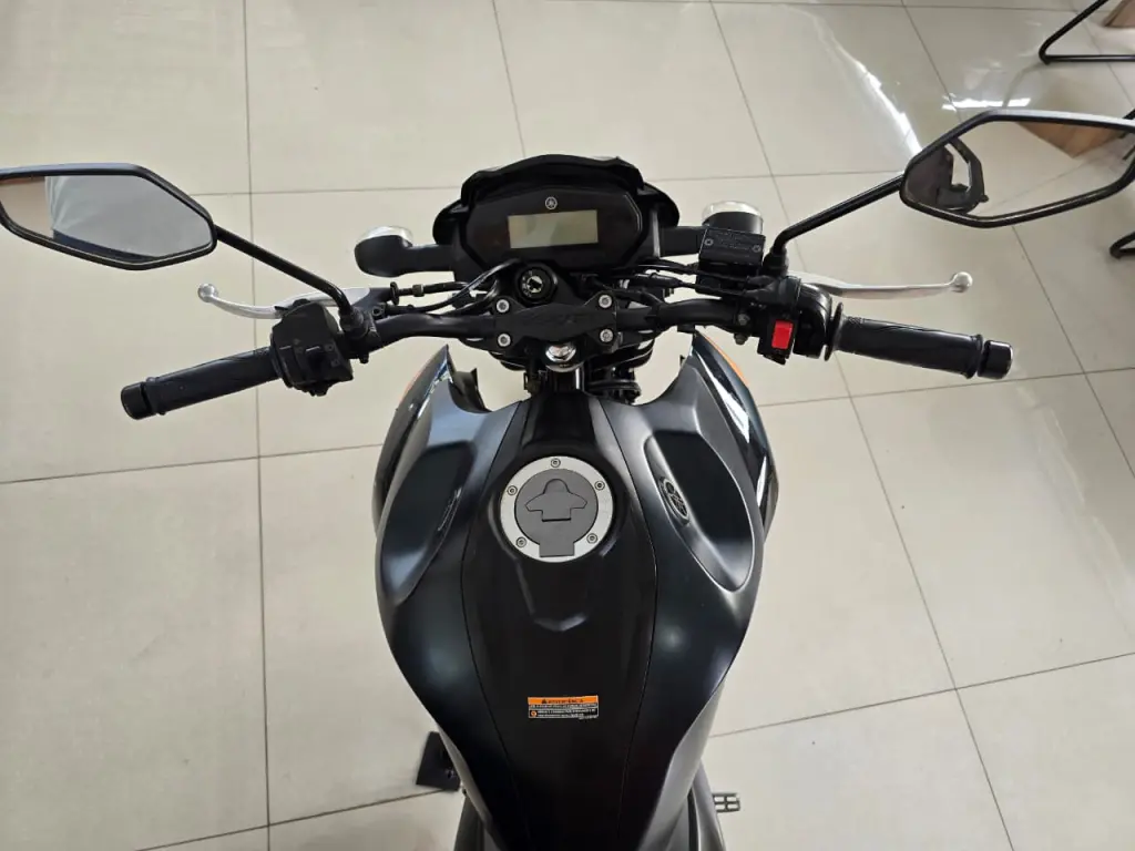YAMAHA FZ 25 250 Fazer Flex - Foto