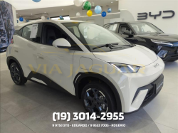 BYD Dolphin Mini 38 KW EL�TRICO
