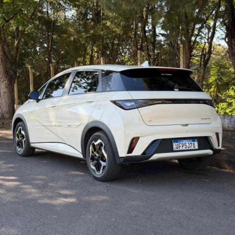 BYD Dolphin 44,9 KW EL�TRICO GS, Foto 3