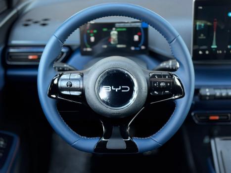 BYD Dolphin Mini 38 KW EL�TRICO, Foto 19