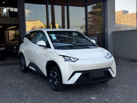 BYD Dolphin Mini 38 KW ELÉTRICO GS, Foto 5