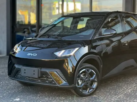 BYD Dolphin Mini , Foto 2