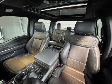 FORD F-150 5.0 V8 24V FX4 PLATINUM CABINE DUPLA AUTOMÁTICO, Foto 11