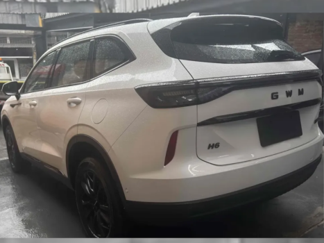 GWM Haval H6 1.5 16V 4P HEV-2 PREMIUM E-TRACTION AUTOM�TICO, Foto 2