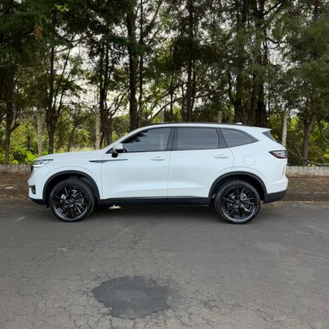 GWM Haval H6 1.5 16V 4P HEV PREMIUM E-TRACTION AUTOM�TICO, Foto 2