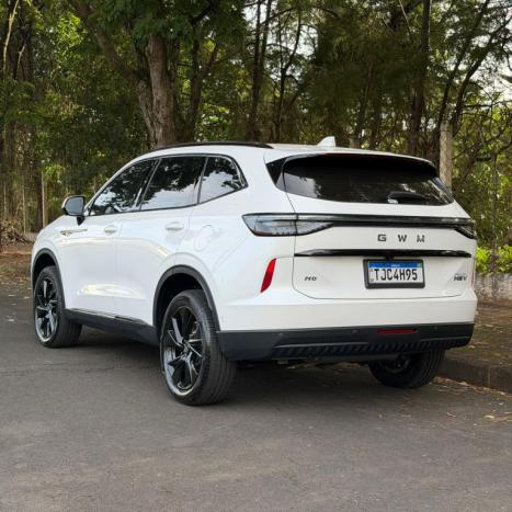 GWM Haval H6 1.5 16V 4P HEV PREMIUM E-TRACTION AUTOM�TICO, Foto 3