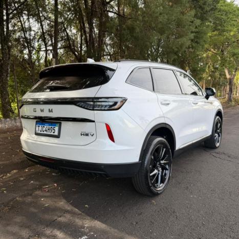 GWM Haval H6 1.5 16V 4P HEV PREMIUM E-TRACTION AUTOM�TICO, Foto 4