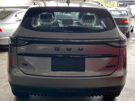 GWM Haval H6 1.5 16V 4P HEV2 PREMIUM AWD E-TRACTION AUTOM�TICO, Foto 6